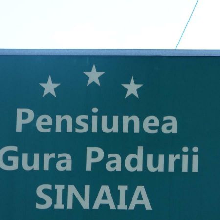 Gura Padurii Hotel Sinaia Bagian luar foto